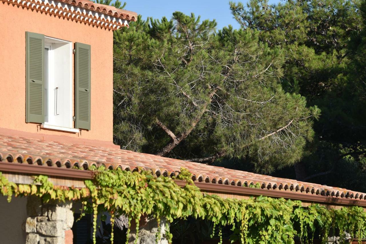 Hotel Les Lentisques Cargèse Exterior foto